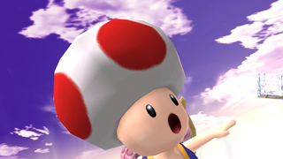 The Investigation Into Toad's Head Continues
